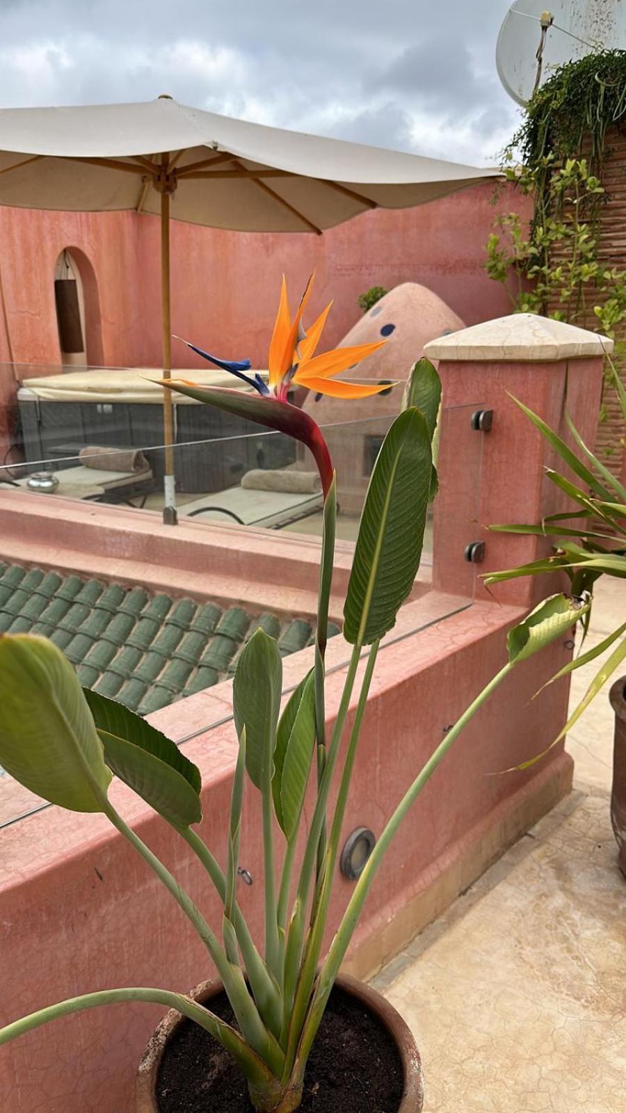 Riad Dar Ten Marakéš Exteriér fotografie